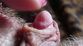 Intense Closeup Of My Large Clit Head Throbbing