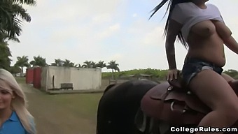 Steamy Orgy With College Babes Deepthroating And Milking Big Cocks