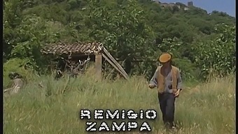 Commercial Sex Exposed In Explicit Video - Film
