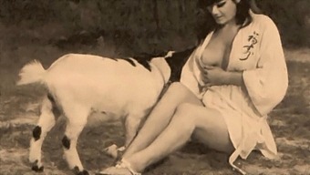 Classic Eroticism: Taboo, Pussy, And Pooch In A Vintage Setting